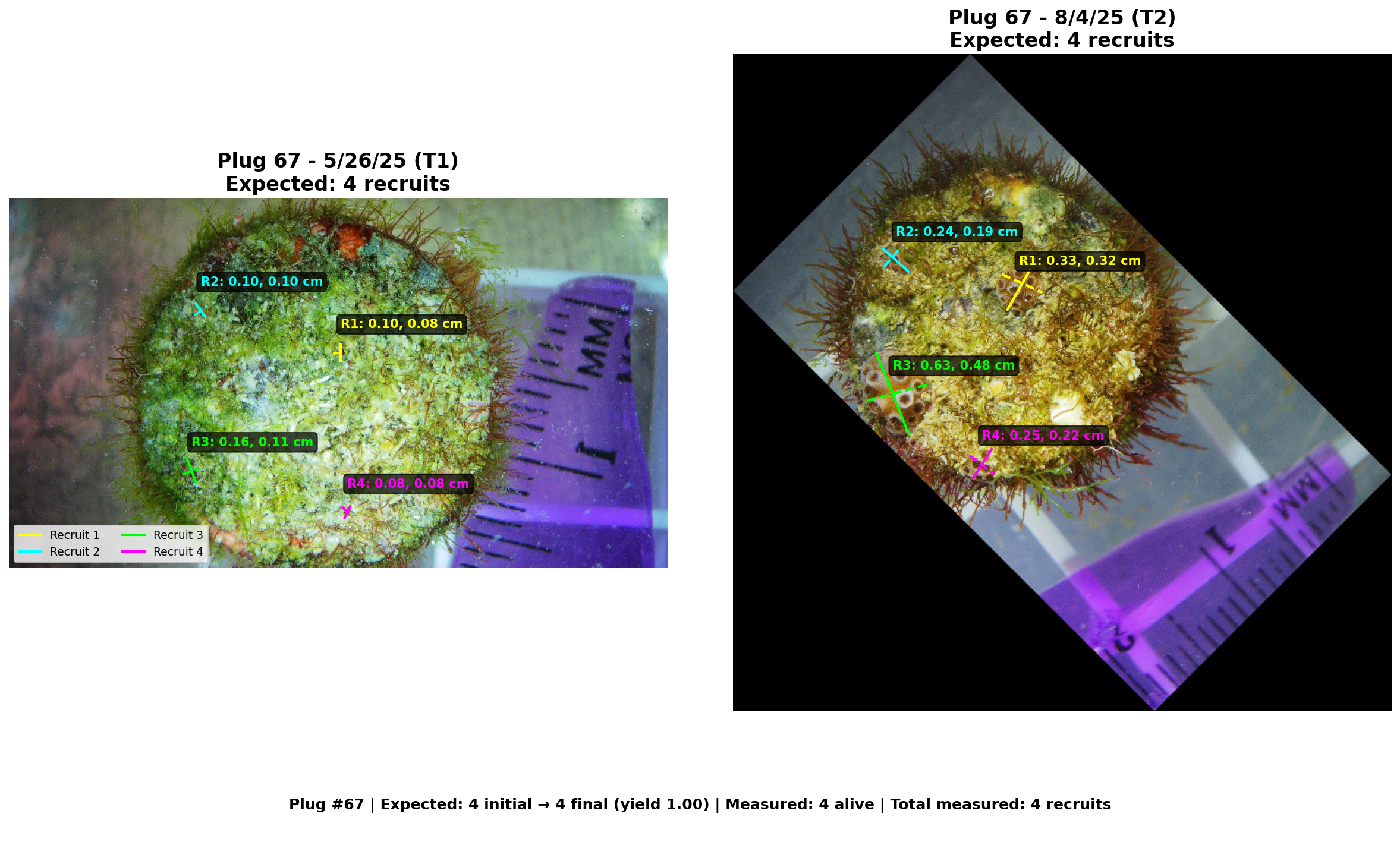 Annotated plug