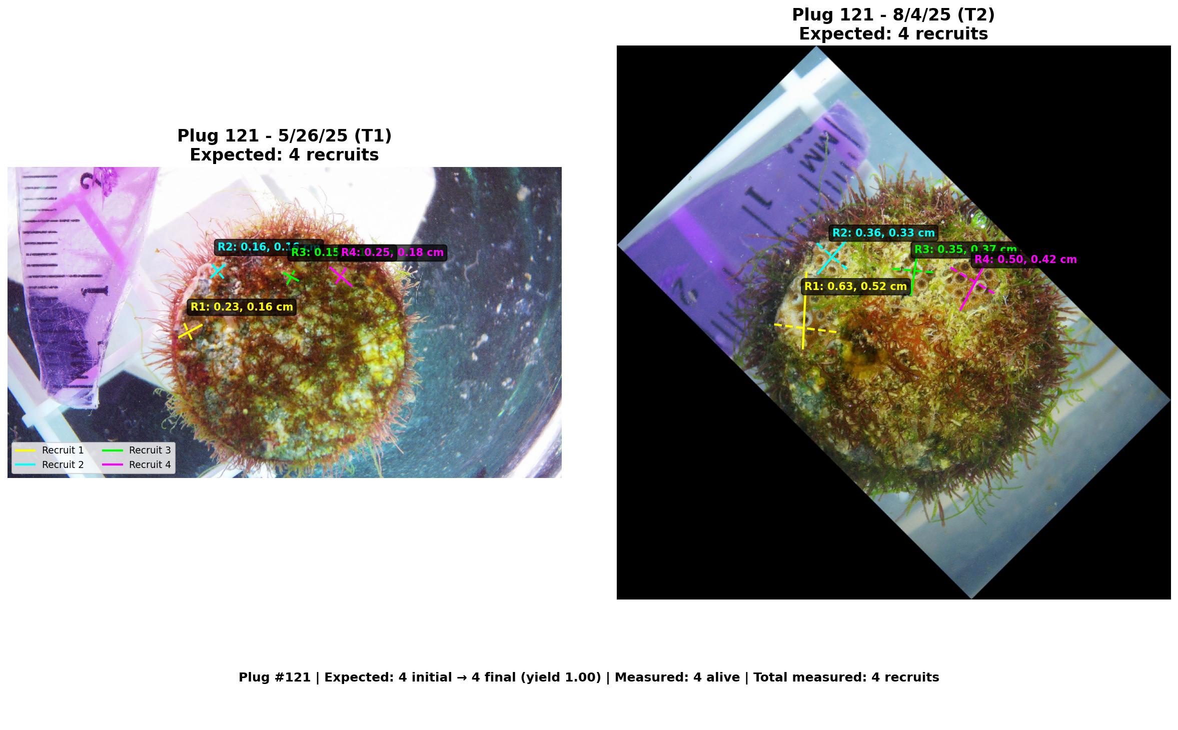Plug 121 annotated