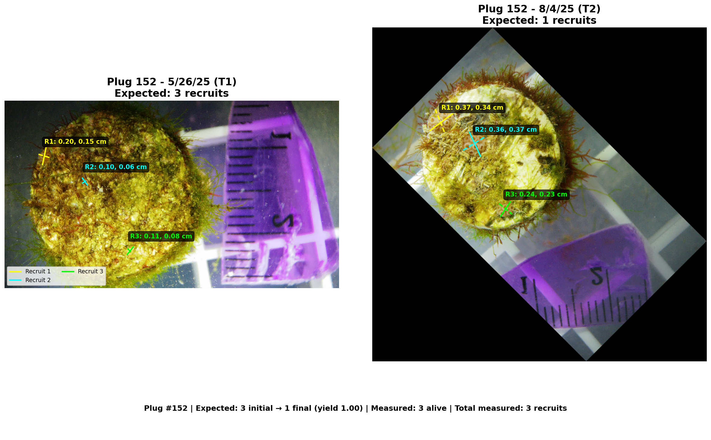 Plug 152 annotated
