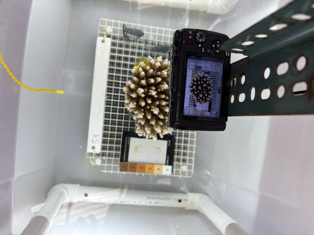Lab photography setup